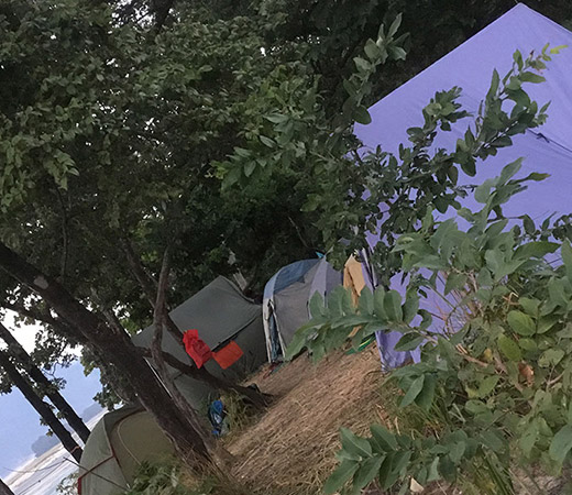 Camping Inside Bardia National Park